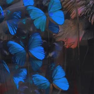 客户系统小蛙导航
