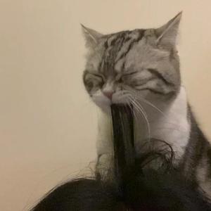 客户系统小蛙导航
